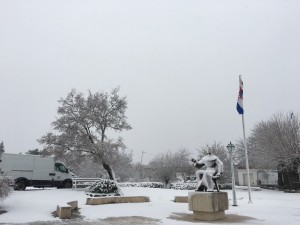 IMG_5385