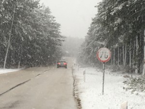 IMG_5393