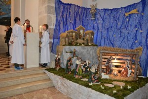 bozic2016-11