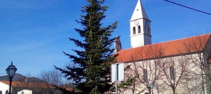 POSTAVLJENA BOŽIĆNA JELKA