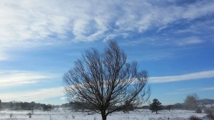 img-20170106-wa0000