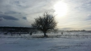 img-20170106-wa0001