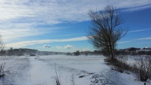 img-20170106-wa0002