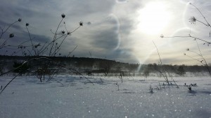 img-20170106-wa0004