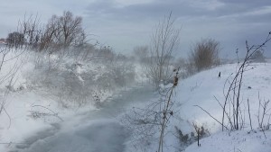 img-20170106-wa0006