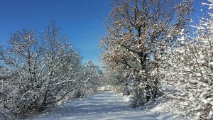 img-20170106-wa0007