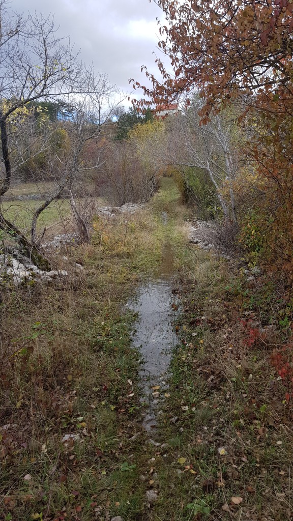 20181030_142620